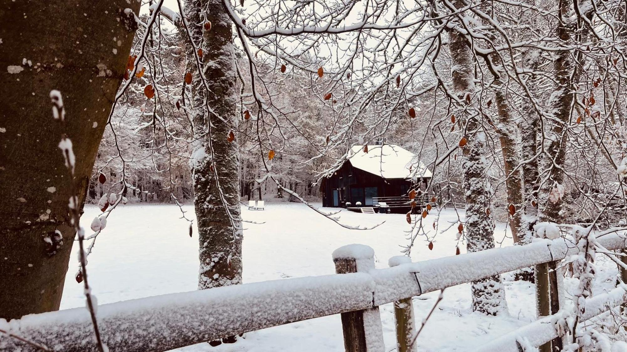 La Cabane D'Amae Marche-en-Famenne Bagian luar foto